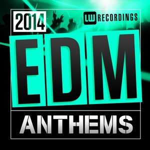 2014 EDM Anthems