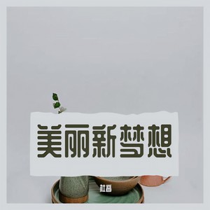 美丽新梦想