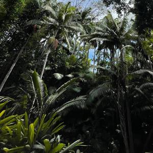 Open Season (feat. Bailon) (Explicit)