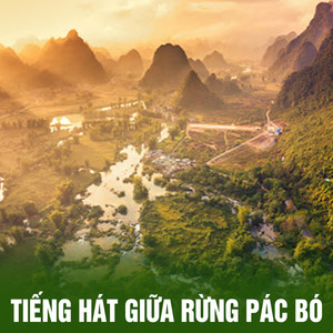 Tiếng hát giữa rừng Pác Bó