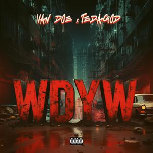 WDYW (What Do You Want) (feat. TeDaGod) (Explicit)