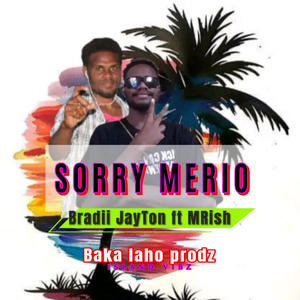 SORRY MERIO (feat. BRADII, JAYTON & MRISH)