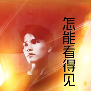 怎能看得见 (纯音乐)