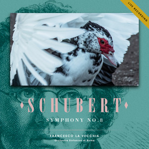 Schubert: Symphony No.8 (Live Recording)