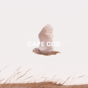 Cape Cod