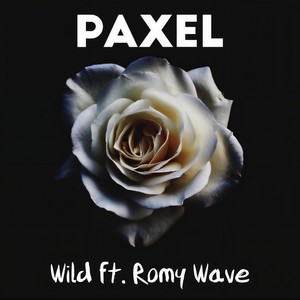 Wild(feat. Romy Wave)