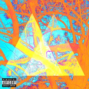 THE BAG (Get In) (feat. ox0df & B) (Explicit)