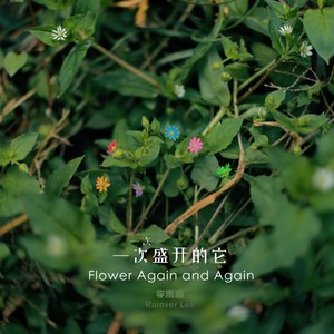 这是第几次见面