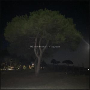 The Lonely Tree (what is this place)