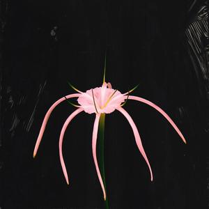 Purpureal(feat. Kurish & INSOMNIA)