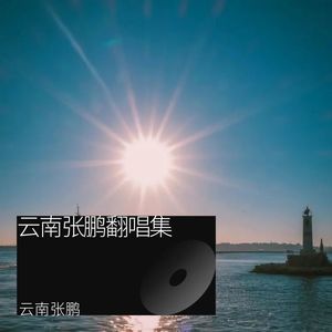 我的妈妈 (云南张鹏|伊美 remix)