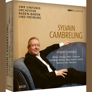 Symphony No. 4 - II. Comedy: Allegretto