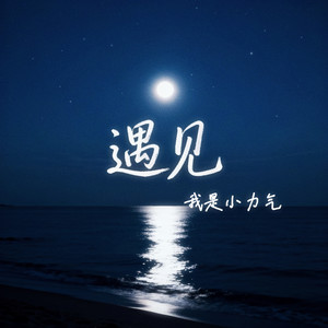 遇见 (我往前飞飞过一片时间海)