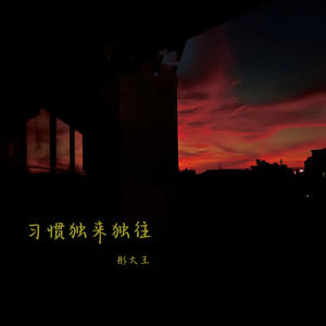 习惯独来独往 - 彤大王封面
