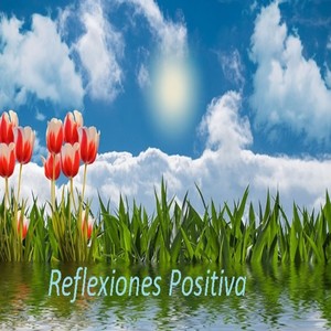 Replexiones Positivas