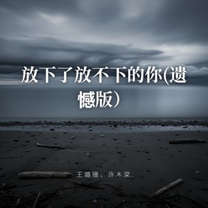 放下了放不下的你 (遗憾版)