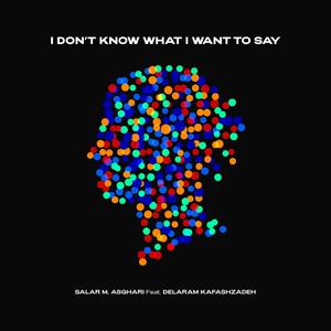 I don’t know what I want to say (feat. Delaram Kafashzadeh)