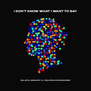 I don’t know what I want to say(feat. Delaram Kafashzadeh)