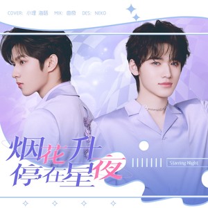 烟花升停在星夜