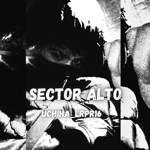 Sector Alto