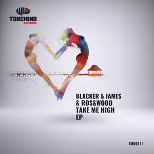 Take Me High (Original Mix)