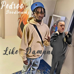 Like Damnnn (feat. Pedroo) (Explicit)