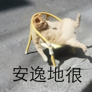 真的谢谢你