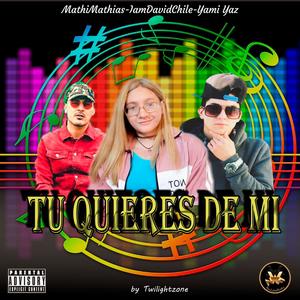 Tu Qui3r3s de Mi (feat. Iamdavidchile & Mathimathias)