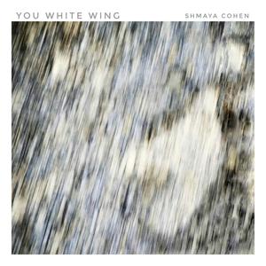 You White Wing (feat. Sol Monk, Matteo Morbidelli, Elisabetta Paolini, DIvusae Castrucci, Mattia Geracitano & Stefano Tiero)