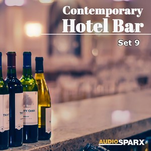 Contemporary Hotel Bar, Set 9