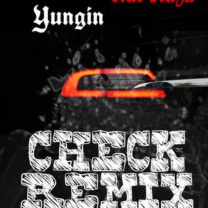 Check Remix