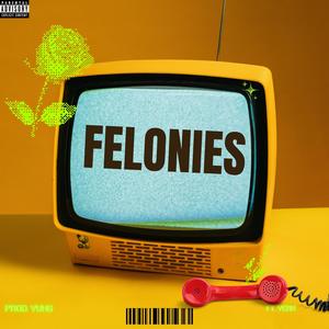 Felonies (feat. Yerk) (Explicit)