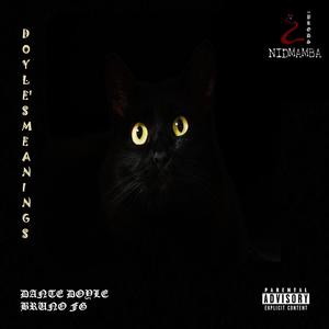 DOYLE'S MEANINGS (Explicit)