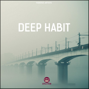 Deep Habit