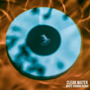 Clear Water (feat. Roane) [Remix]