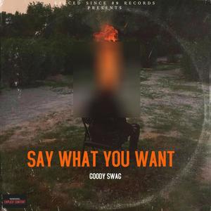 Say What You Want (Explicit)