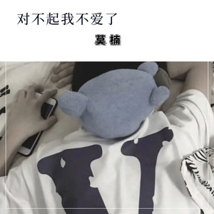 对不起我不爱了
