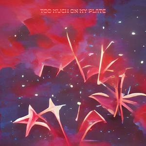 Too Much On My Plate