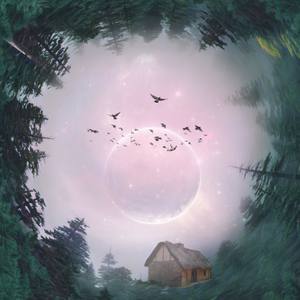 爱上一个不回家的人