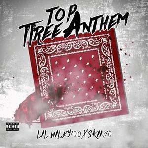 Tree Top Anthem(feat. Skii.40) (Explicit)