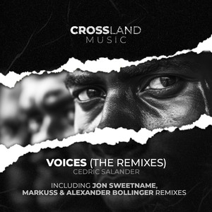 Voices (The Remixes)