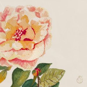 Can’t U Stay Forever