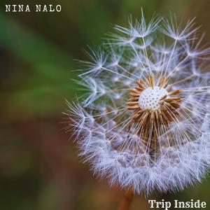 Trip Inside (feat. Randy Divine, Alma Lin, Jasper Whisper, Sensory Meditation & Flame Timo)