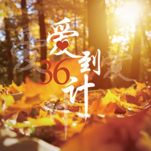爱到三十六计