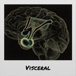 Visceral