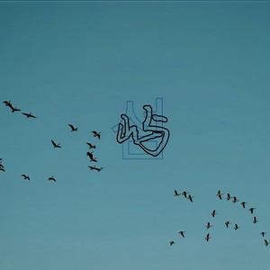 山