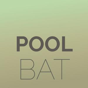 Pool Bat