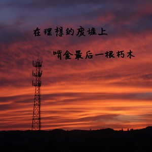 在理想的废墟上啃食最后一根朽木-刘宇