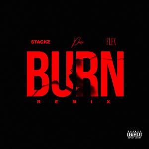 Burn (Remix)