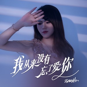 我从来没有忘了爱你封面